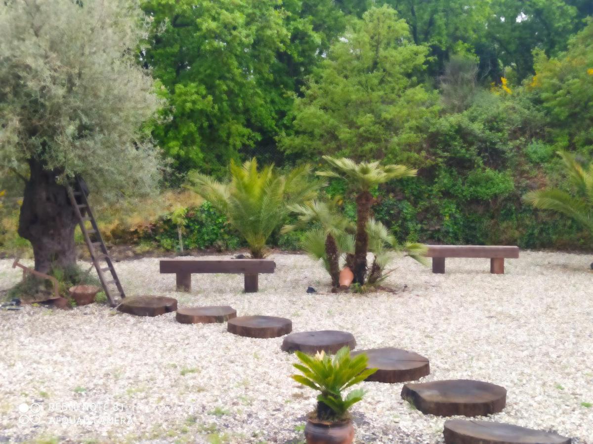 מלון פדארה Antico Palmento Dell'Etna מראה חיצוני תמונה